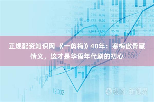 正规配资知识网 《一剪梅》40年：寒梅傲骨藏情义，这才是华语年代剧的初心