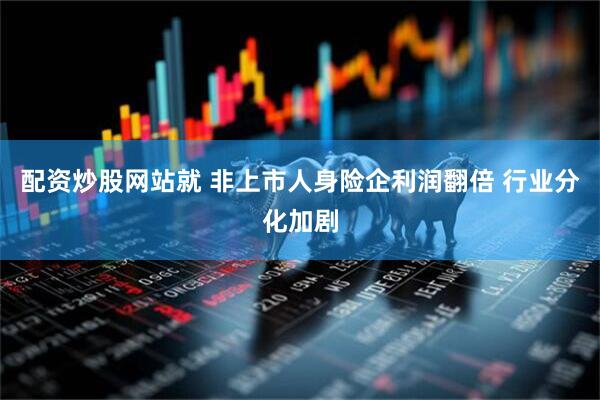 配资炒股网站就 非上市人身险企利润翻倍 行业分化加剧